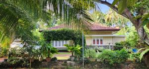 加姆珀哈CHARAKAMA Guest Bungalow - GAMPAHA的前面有棕榈树的房子