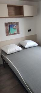 维亚斯La Carabasse的两个枕头坐在房间里的床边