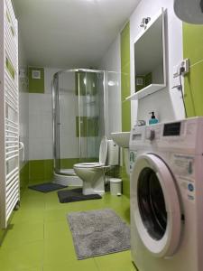 卡鲁扎Chata Zemplin的带淋浴和洗衣机的浴室
