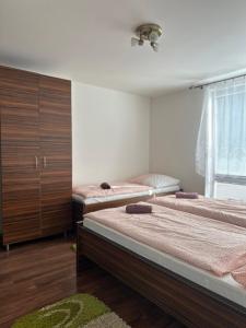 卡鲁扎Chata Zemplin的一间卧室设有两张床和大窗户