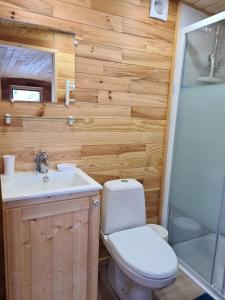 屈热莱潘Tiny House Roulotte的浴室配有卫生间、盥洗盆和淋浴。