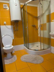 卡鲁扎Chata Zemplin的带淋浴、卫生间和盥洗盆的浴室