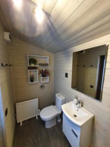 SliseriPurenes - Barrel shaped pod with hot tube的浴室配有白色卫生间和盥洗盆。