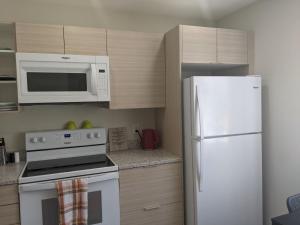 温尼伯Harbison的厨房配有白色冰箱和微波炉