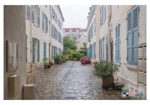 圣日耳曼昂莱L'essence du cachet的街道上种有盆栽植物和建筑的小巷