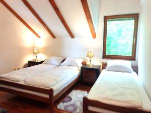 萨拉热窝Vila Gardenia的带窗户的客房内设有两张单人床。