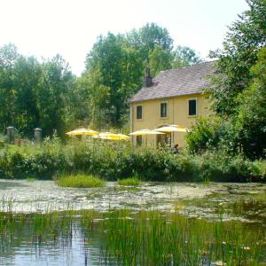 BonlieuAu Moulin des Fées - Maison d'hôtes Cascades du Hérisson的水体旁的黄色房子,有雨伞