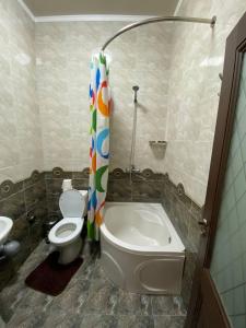 塔什干Davan LUX的一间带卫生间和淋浴帘的浴室