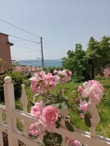 的里雅斯特al porticciolo的白色的围栏,上面有粉红色的花朵