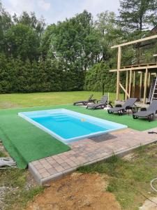 OkleśnaApartament u Wioli的一个带椅子的游泳池和绿色草坪