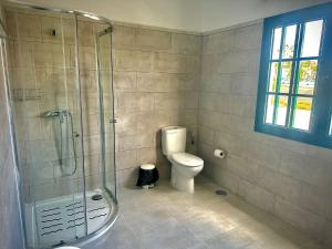 蒂亚斯Bungalows Doble UVE的一间带卫生间和玻璃淋浴间的浴室