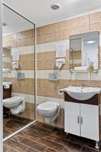 奥托佩尼奥托佩尼宪章酒店的一间带卫生间、水槽和镜子的浴室