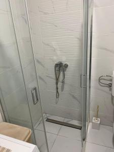 鲁马Apartman Popović的带淋浴的浴室,带玻璃门