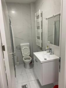 鲁马Apartman Popović的白色的浴室设有卫生间和水槽。