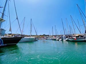 阿尔布费拉Stay in a Boat - Algarve (Blue Pearl)的停靠在港口的一群船