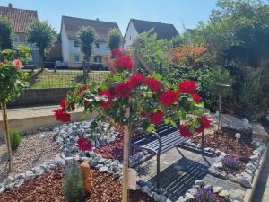艾恩贝克Fewo-Kreiensen的一个带长凳和红玫瑰的花园