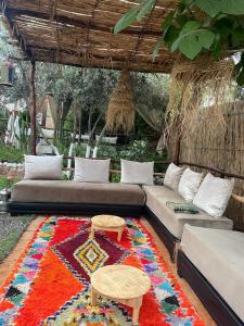 阿伊特乌里尔Dar Tadout的带沙发和地毯的客厅