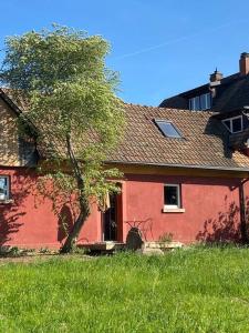 布赖斯高地区施陶芬Scheune im Grünen的前面有一棵树的红色房子