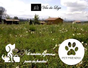 奥利维拉多霍斯比托Vila da Laje - Onde a Natureza o envolve - Serra da Estrela的花田里的狗的照片