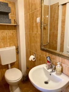杜布罗夫尼克Kingslanding Old Town Hostel的浴室配有白色卫生间和盥洗盆。