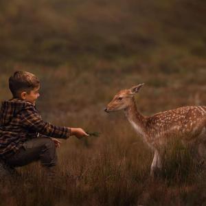 坦迪尔Cabañas Valle de los Ciervos的喂养一只野外小鹿的男孩