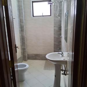 纳库鲁Monrovia Guest House的一间带水槽和卫生间的浴室以及窗户。