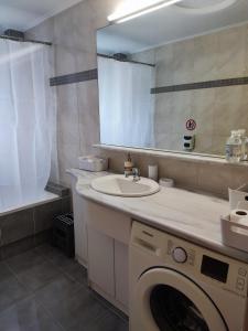 马科普隆A&J Apartments or Rooms athens airport的一间带洗衣机和水槽的浴室