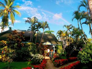 拉斯特拉纳斯Las Palmas Eco Residence的棕榈树和彩虹的天空度假屋