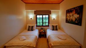 尼耶利方舟山林小屋的带窗户的客房内设有两张单人床。