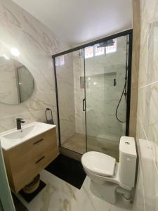 佩皮尼昂La Suite des Platanes的带淋浴、卫生间和盥洗盆的浴室