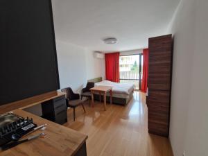 布尔加斯Zlaten Bryag的客房设有带一张床和一张书桌的卧室。