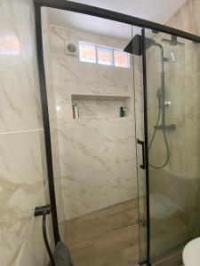 佩皮尼昂La Suite des Platanes的浴室里设有玻璃门淋浴