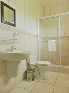阿多The Kraal Addo的一间带水槽、卫生间和淋浴的浴室