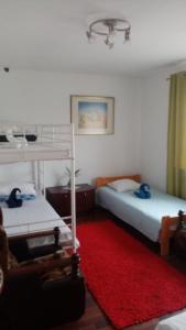 波兹南Willa Tanagra的一间卧室配有两张双层床,铺有红色地毯。