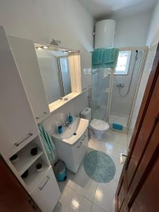 波尔Apartment Merlin的一间带水槽、卫生间和淋浴的浴室