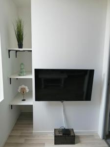 TonneinsJungle Zen Beau T2 avec jardin Gare 100m的挂在白色墙壁上的平面电视