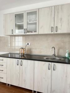 LedineSurčin Apartment的厨房配有白色橱柜和水槽