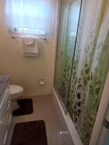 法尔茅斯Stonebrook Villa的带淋浴帘和卫生间的浴室