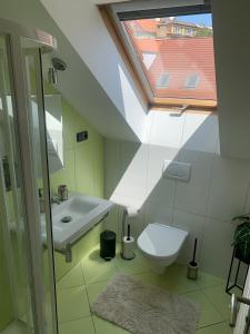 塔博尔Relax & Active Apartment Tábor的一间带水槽和卫生间的浴室以及窗户。