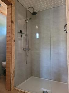赫尔Rustig gelegen chalet Solvo met terras aan het water的浴室里设有玻璃门淋浴