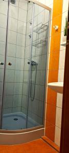 波洛维切Górskie Zacisze的浴室里设有玻璃门淋浴