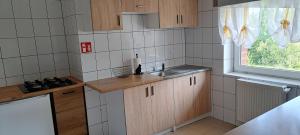 波洛维切Górskie Zacisze的一个带水槽和窗户的小厨房