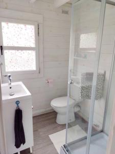 普卢伊内克Chalet cosy, plages à pieds. Morbihan.的白色的浴室设有卫生间和水槽。
