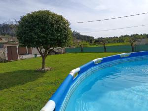 桑亨霍Casa/chalet en Sanxenxo 3hab.的一座绿树成荫的庭院中的蓝色游泳池