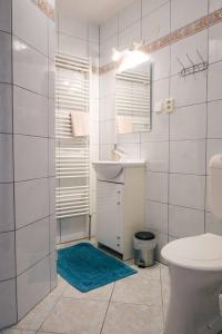 大帕夫洛维采Apartmány Neronet的白色的浴室设有水槽和卫生间。
