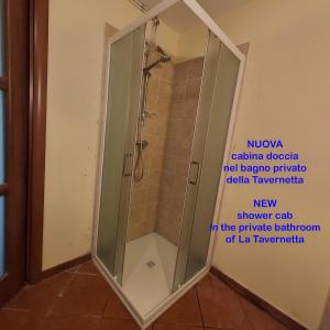 托雷佩利切La Tavernetta的浴室内带玻璃门的淋浴间