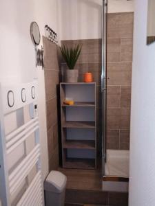 圣拉里苏朗Appartement dans une Résidence Calme (4 Personnes)的带淋浴和卫生间的小浴室