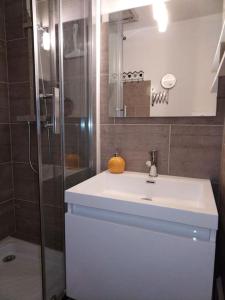 圣拉里苏朗Appartement dans une Résidence Calme (4 Personnes)的浴室配有白色水槽和淋浴。