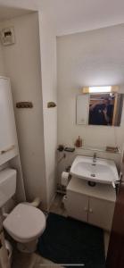 圣拉里苏朗Refuge St Lary的浴室配有白色卫生间和盥洗盆。