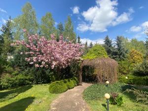 比亚韦斯托克瓦恰米切赫酒店的种有粉红色花卉的大树的花园